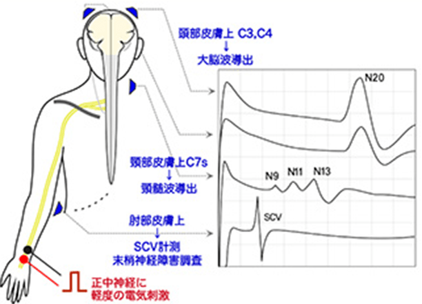 研究紹介（教員）研究 イメージ